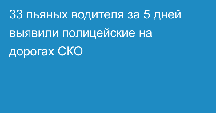 33 пьяных водителя за 5 дней выявили полицейские на дорогах СКО