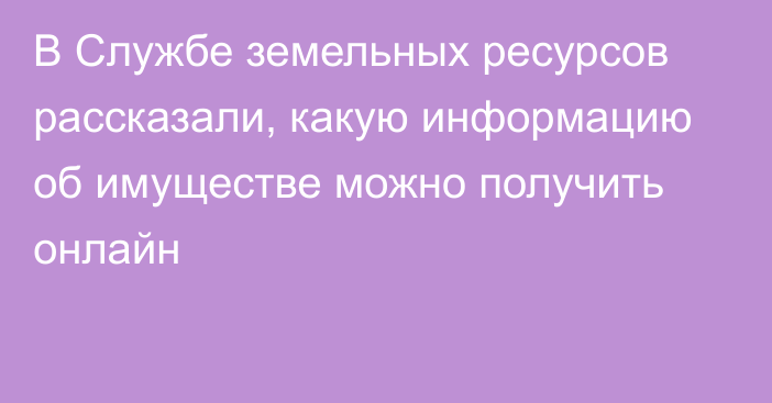 В Службе земельных ресурсов рассказали, какую информацию об имуществе можно получить онлайн