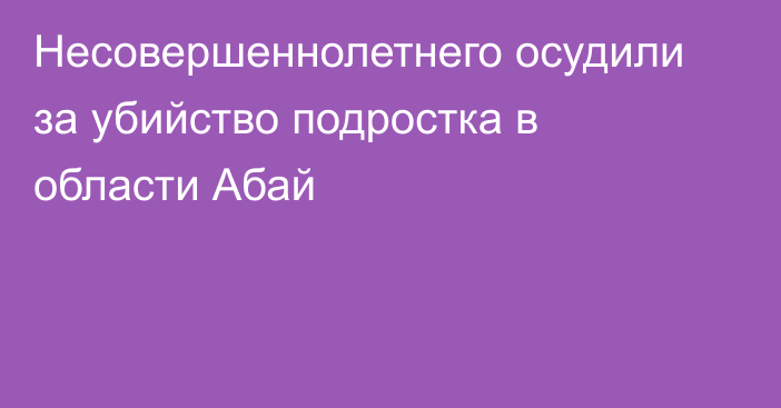 Несовершеннолетнего осудили за убийство подростка в области Абай