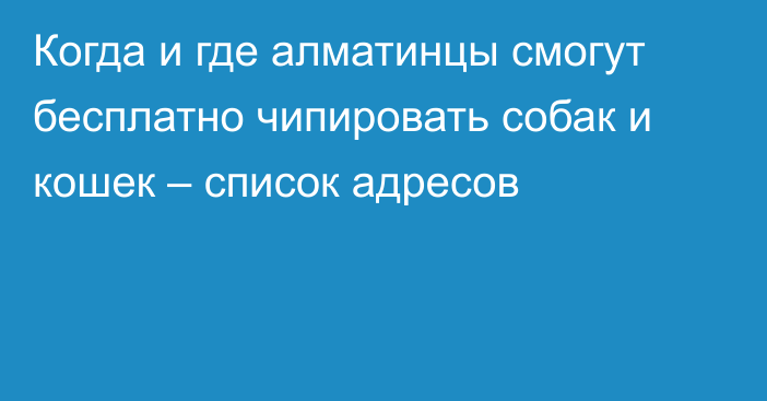 Когда и где алматинцы смогут бесплатно чипировать собак и кошек – список адресов