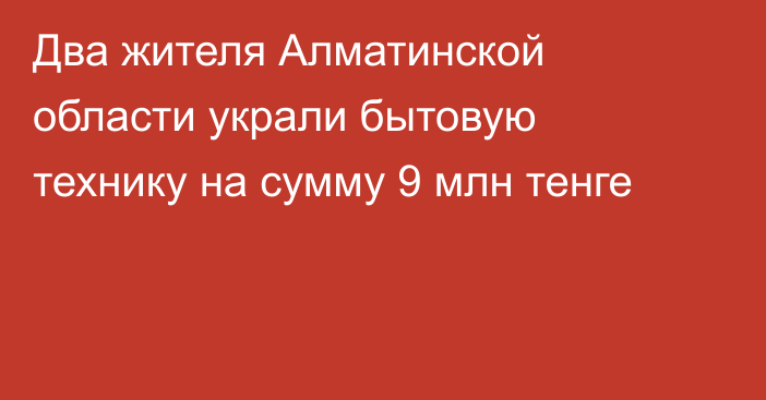 Два жителя Алматинской области украли бытовую технику на сумму 9 млн тенге