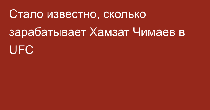 Стало известно, сколько зарабатывает Хамзат Чимаев в UFC