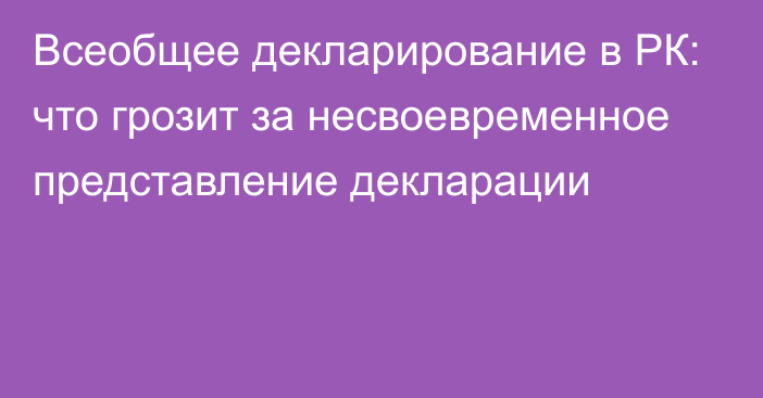 Всеобщее декларирование в РК: что грозит за несвоевременное представление декларации