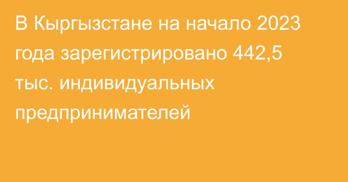 В Кыргызстане на начало 2023 года зарегистрировано 442,5 тыс. индивидуальных предпринимателей