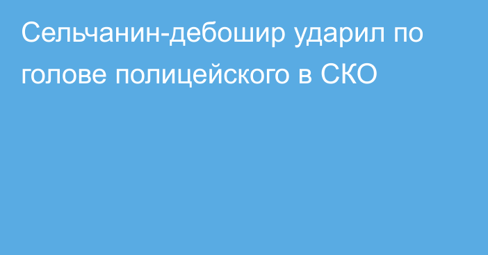 Сельчанин-дебошир ударил по голове полицейского в СКО