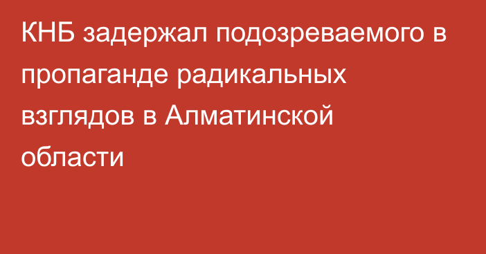 КНБ задержал подозреваемого в пропаганде радикальных взглядов в Алматинской области