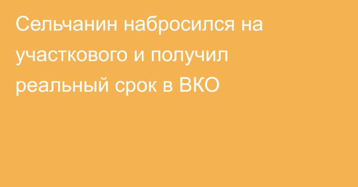 Сельчанин набросился на участкового и получил реальный срок в ВКО