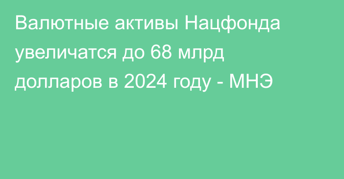 Валютные активы Нацфонда увеличатся до 68 млрд долларов в 2024 году - МНЭ