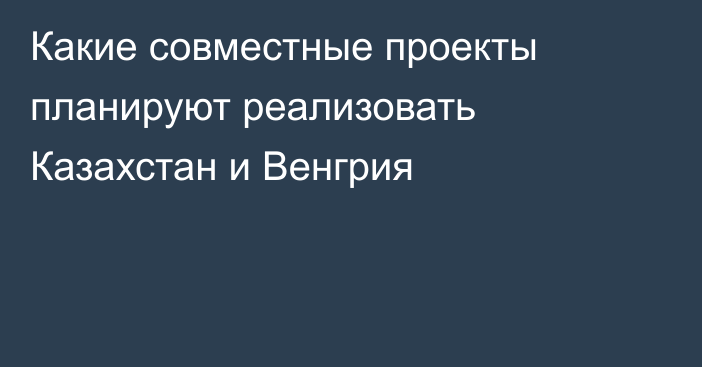 Какие совместные проекты планируют реализовать Казахстан и Венгрия