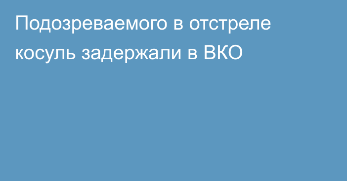 Подозреваемого в отстреле косуль задержали в ВКО