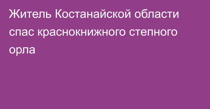 Житель Костанайской области спас краснокнижного степного орла