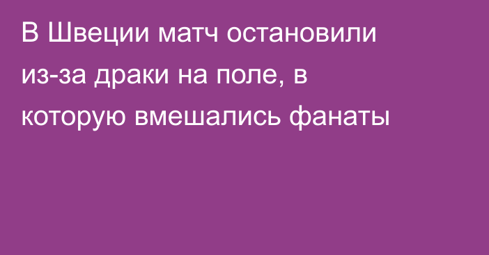 В Швеции матч остановили из-за драки на поле, в которую вмешались фанаты