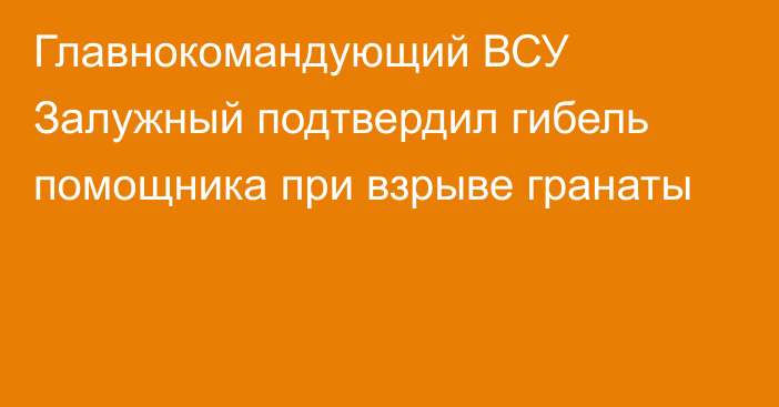 Главнокомандующий ВСУ Залужный подтвердил гибель помощника при взрыве гранаты