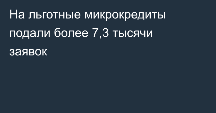 На льготные микрокредиты подали более 7,3 тысячи заявок