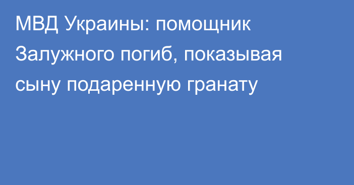 МВД Украины: помощник Залужного погиб, показывая сыну подаренную гранату