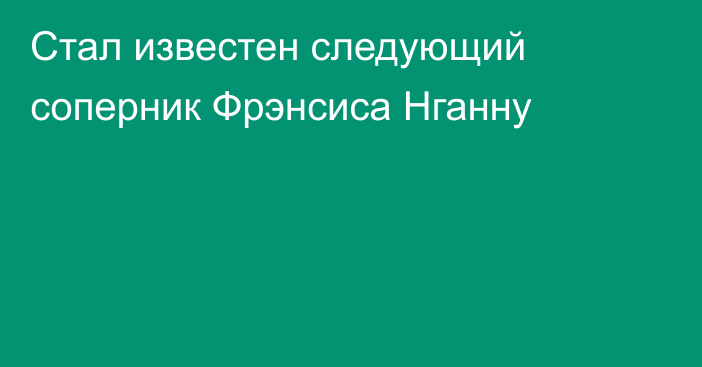 Стал известен следующий соперник Фрэнсиса Нганну