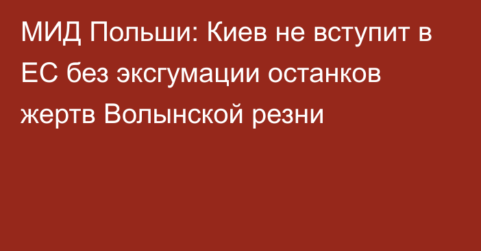 МИД Польши: Киев не вступит в ЕС без эксгумации останков жертв Волынской резни