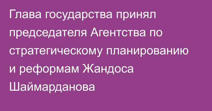 Глава государства принял председателя Агентства по стратегическому планированию и реформам Жандоса Шаймарданова