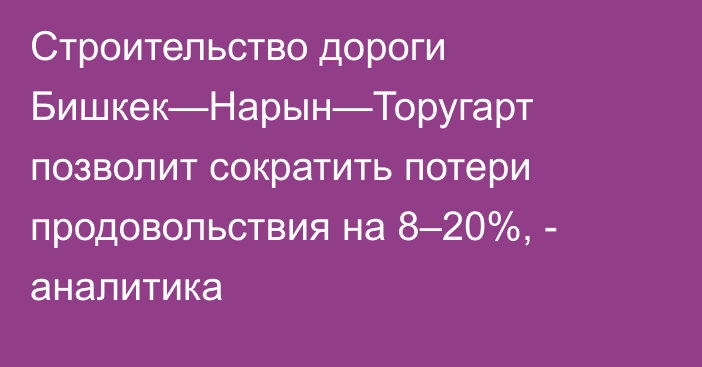 Строительство дороги Бишкек—Нарын—Торугарт позволит сократить потери продовольствия на 8–20%, - аналитика