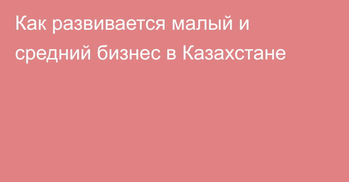 Как развивается малый и средний бизнес в Казахстане