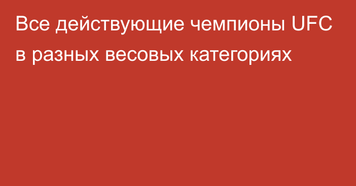 Все действующие чемпионы UFC в разных весовых категориях