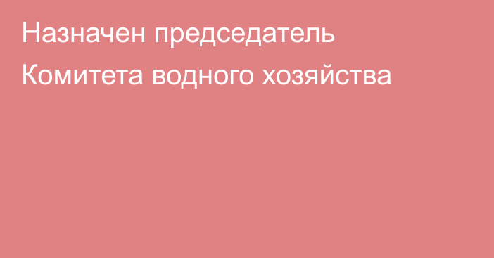 Назначен председатель Комитета водного хозяйства