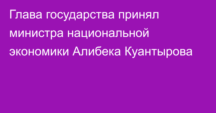 Глава государства принял министра национальной экономики Алибека Куантырова