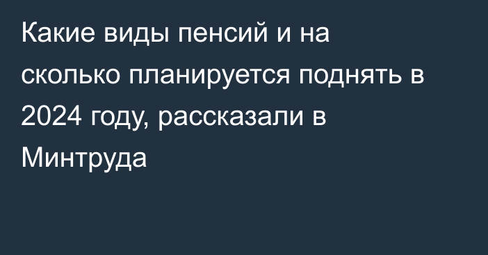 Какие виды пенсий и на сколько планируется поднять в 2024 году, рассказали в Минтруда