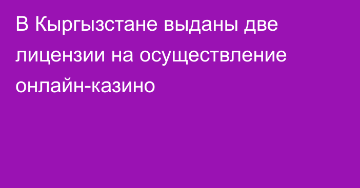 В Кыргызстане выданы две лицензии на осуществление онлайн-казино