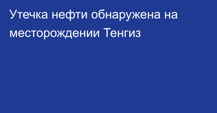 Утечка нефти обнаружена на месторождении Тенгиз