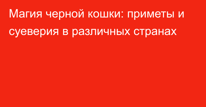 Магия черной кошки: приметы и суеверия в различных странах