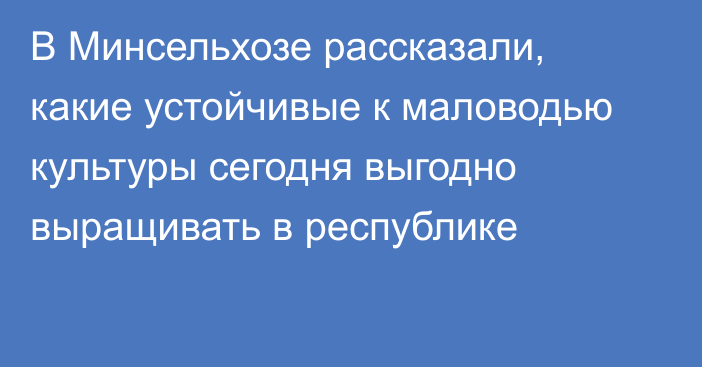 В Минсельхозе рассказали, какие устойчивые к маловодью культуры сегодня выгодно выращивать в республике 