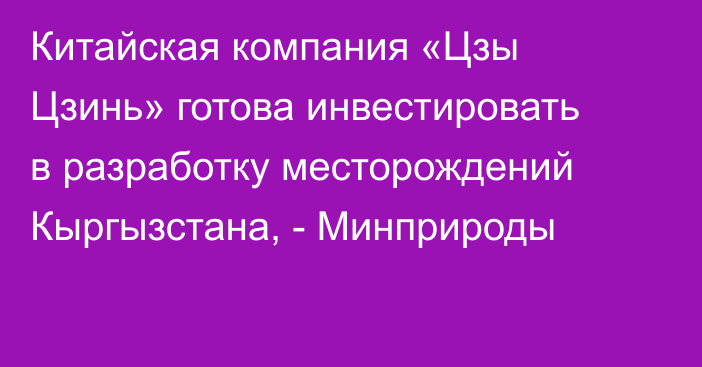 Китайская компания «Цзы Цзинь» готова инвестировать в разработку месторождений Кыргызстана, - Минприроды