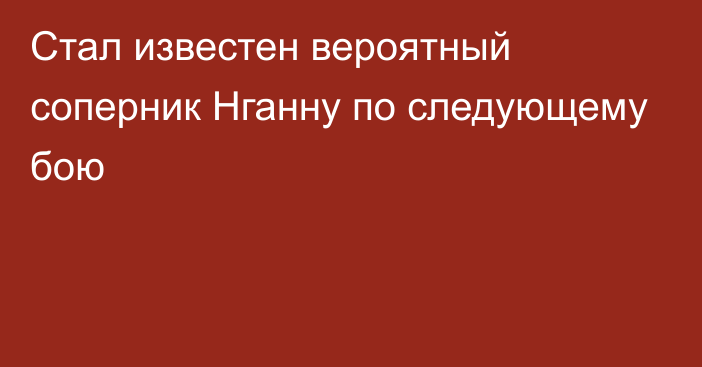 Стал известен вероятный соперник Нганну по следующему бою