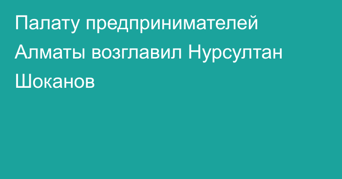 Палату предпринимателей Алматы возглавил Нурсултан Шоканов