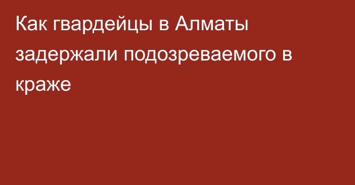 Как гвардейцы в Алматы задержали подозреваемого в краже