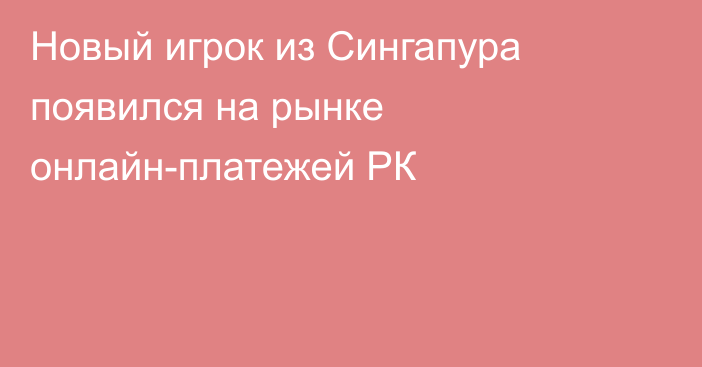 Новый игрок из Сингапура появился на рынке онлайн-платежей РК