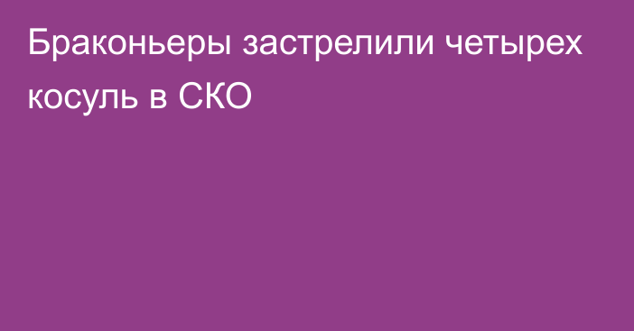 Браконьеры застрелили четырех косуль в СКО