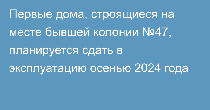 Первые дома, строящиеся на месте бывшей колонии №47, планируется сдать в эксплуатацию осенью 2024 года