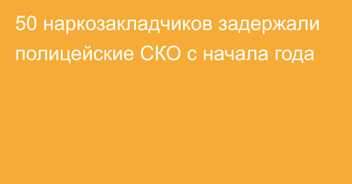 50 наркозакладчиков задержали полицейские СКО с начала года