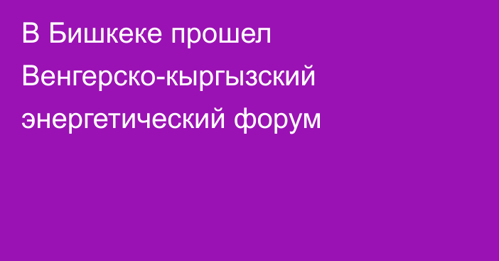 В Бишкеке прошел Венгерско-кыргызский энергетический форум