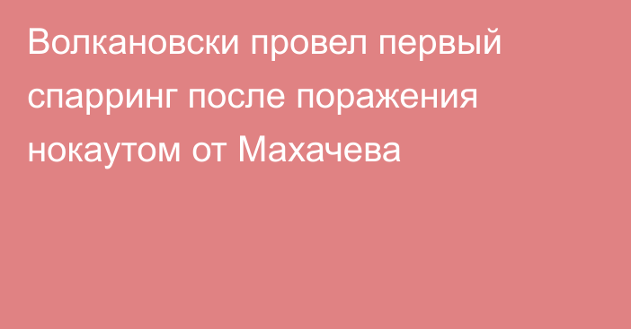 Волкановски провел первый спарринг после поражения нокаутом от Махачева