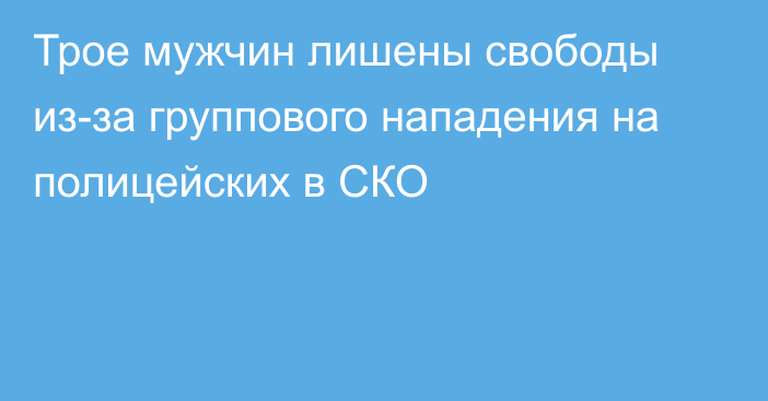 Трое мужчин лишены свободы из-за группового нападения на полицейских в СКО