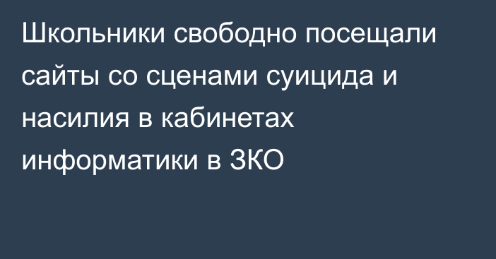 Школьники свободно посещали сайты со сценами суицида и насилия в кабинетах информатики в ЗКО