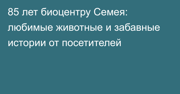 85 лет биоцентру Семея: любимые животные и забавные истории от посетителей