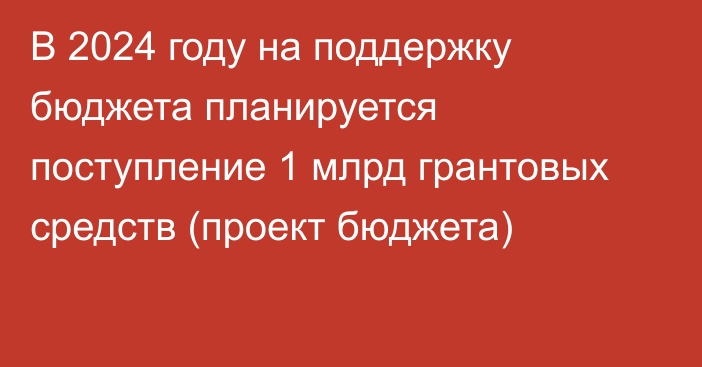 В 2024 году на поддержку бюджета планируется поступление 1 млрд грантовых средств (проект бюджета)