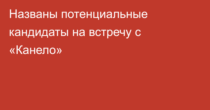 Названы потенциальные кандидаты на встречу с «Канело»