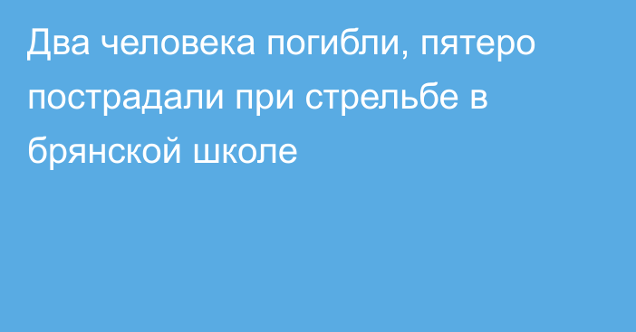 Два человека погибли, пятеро пострадали при стрельбе в брянской школе