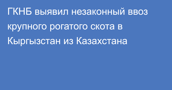 ГКНБ выявил незаконный ввоз крупного рогатого скота в Кыргызстан из Казахстана