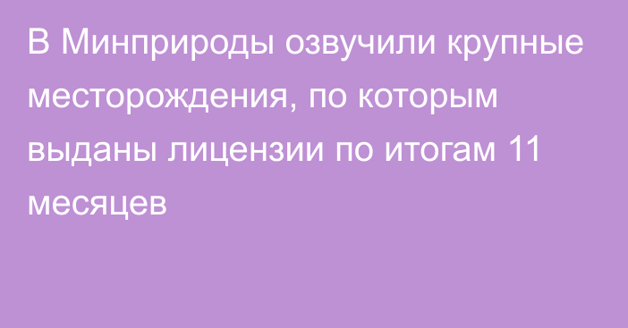 В Минприроды озвучили крупные месторождения, по которым выданы лицензии по итогам 11 месяцев